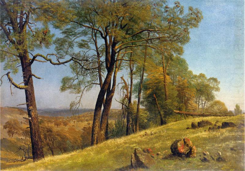 Albert Bierstadt Landscape, Rockland County, California oil painting picture